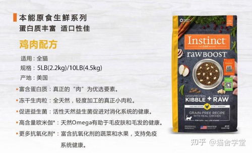 高性价比猫粮推荐 进口与国产精选及购买指引